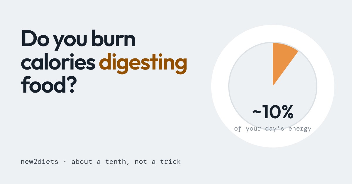 A white plate with an orange slice of about a tenth, labelled about 10% of your day's energy