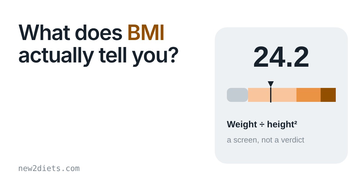 A BMI gauge showing 24.2 on a coloured scale, with the formula weight divided by height squared