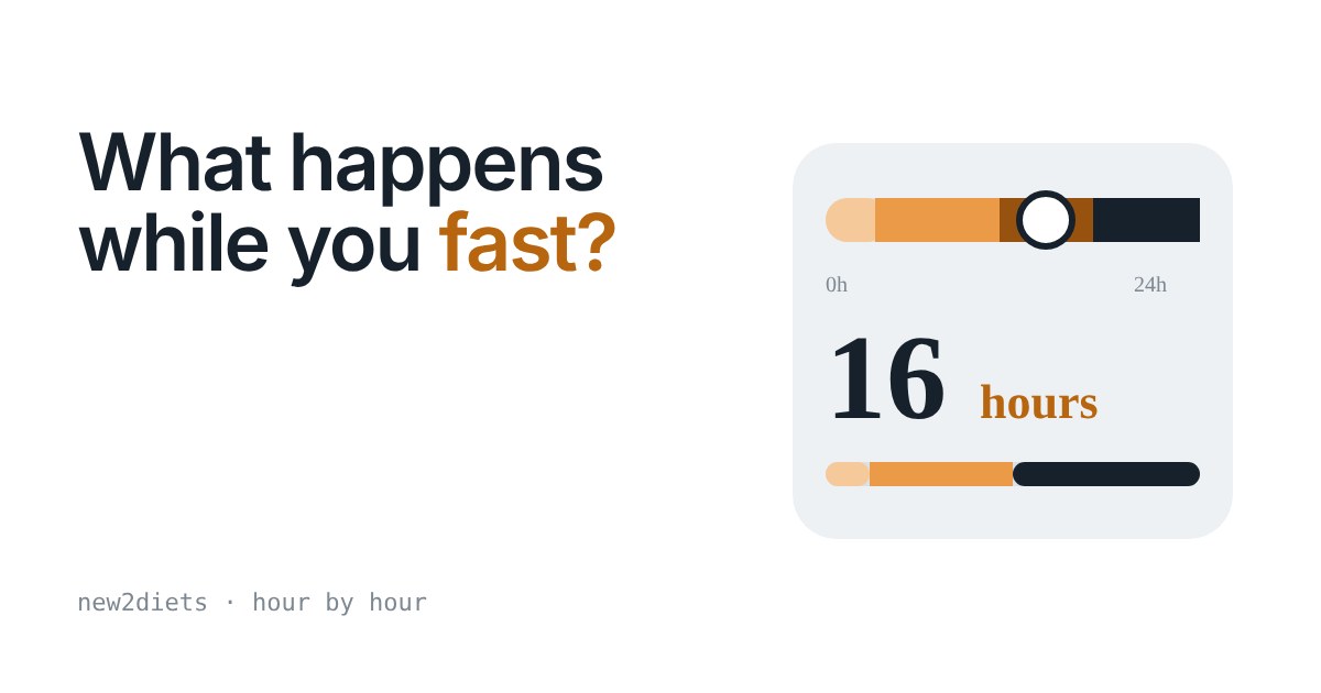 Slider showing a 16 hour fast on a 24 hour bar, from last meal to fat and ketones